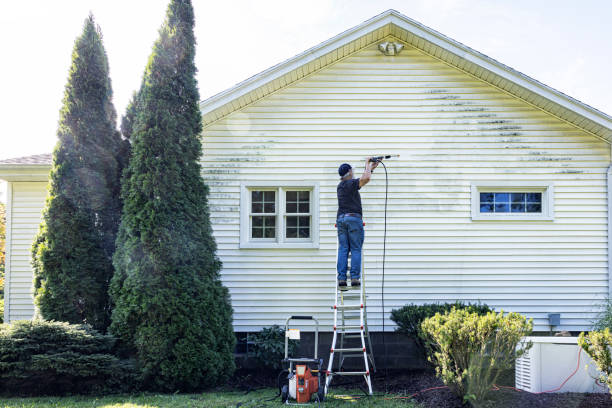 Professional Pressure Washing in Gold Canyon, AZ